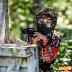 Paintballin 40-vuotispelit Heinolassa 20.6.2021